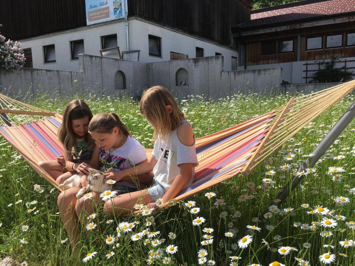 Scharfetthof Flachau