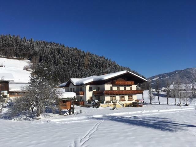 Vakantieboerderij Scharfetthof Flachau